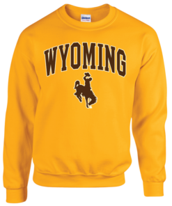 university gold sweatshirt