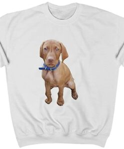 vizsla sweatshirt