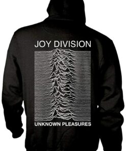 joy divizn hoodie