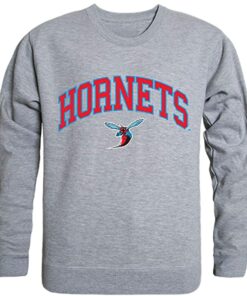 delaware state university sweatshirt