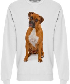 sweatshirts for boxer dogs