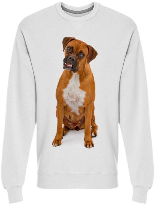 sweatshirts for boxer dogs