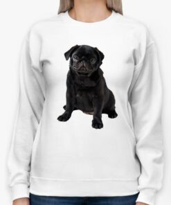 black pug sweatshirt