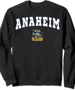 ud sweatshirt