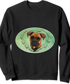 boxer sweatshirt