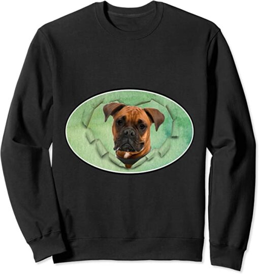 boxer sweatshirt