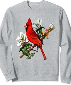 cardinal sweatshirt