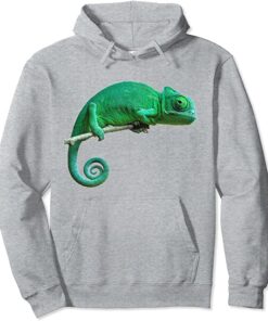 chameleon hoodie