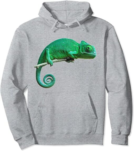 chameleon hoodie