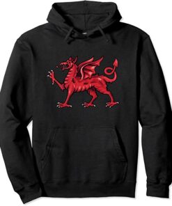 red dragon hoodie