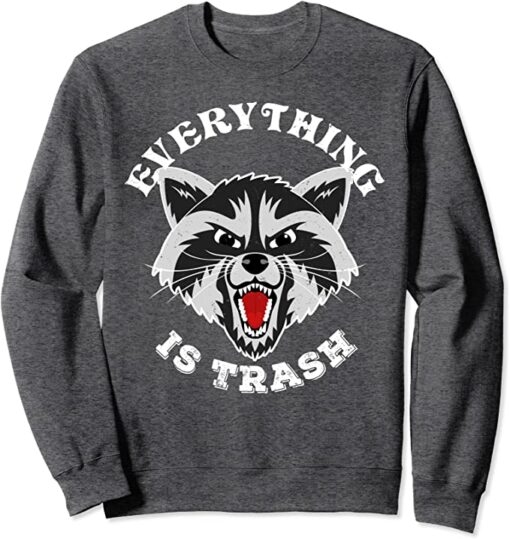 raccoon sweatshirt