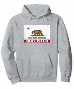 hollister bear hoodie