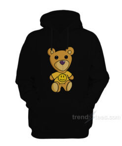 teddy bears with hoodies