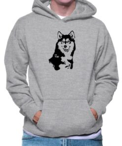 boys husky hoodies