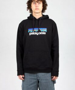 patagonia logo hoodie