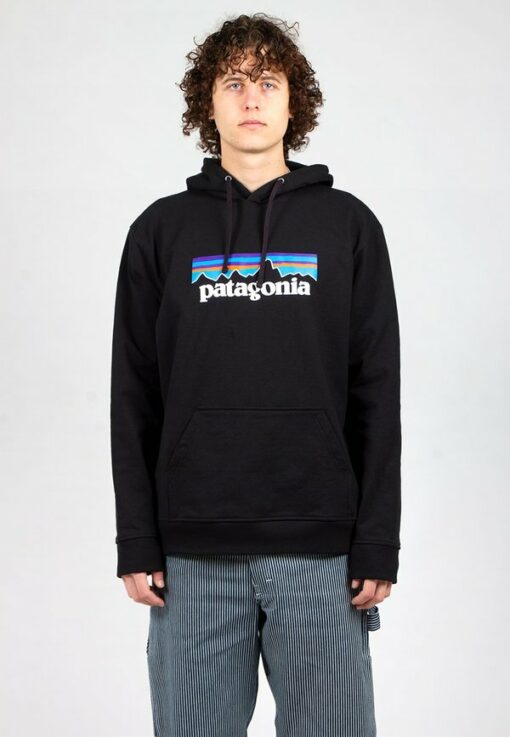 patagonia logo hoodie