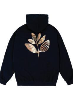 botticelli hoodie