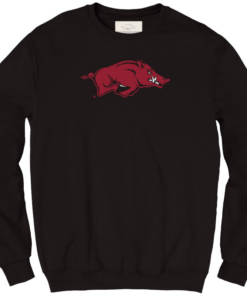 university of arkansas sweatshirt