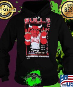 chicago bulls champion hoodie