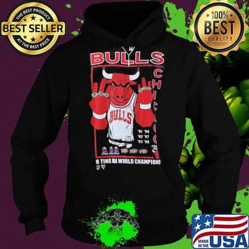 chicago bulls champion hoodie