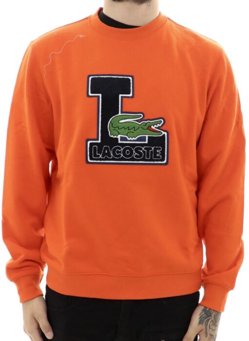 gator sweatshirt