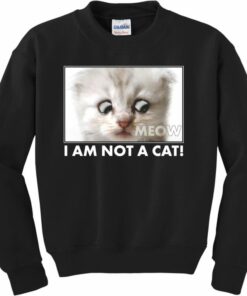 funny cat sweatshirts