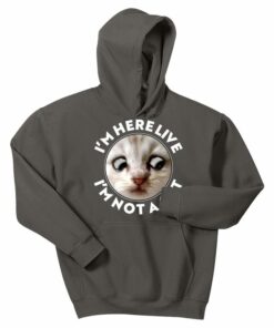 cat in hoodie meme