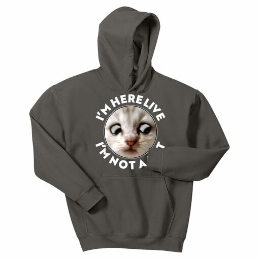 cat in hoodie meme