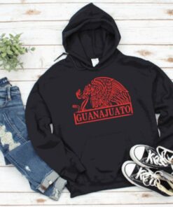 guanajuato hoodie