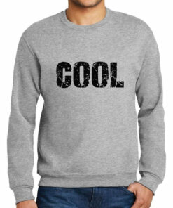 cool grey sweatshirt