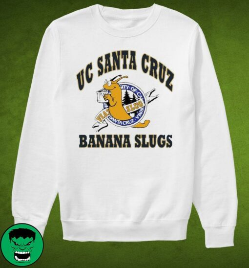 ucsc sweatshirt