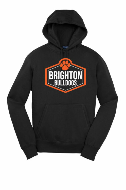 brighton hoodie