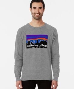 wellesley sweatshirt