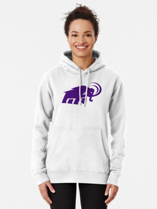 amherst college hoodie