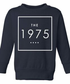 the 1975 sweatshirt