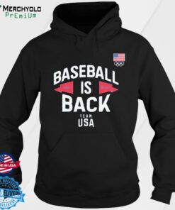 team usa baseball hoodie