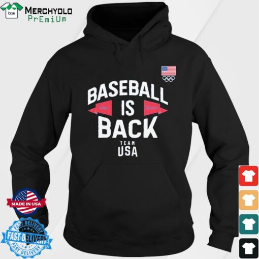 team usa baseball hoodie