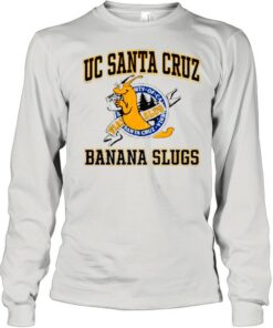 uc santa cruz sweatshirt