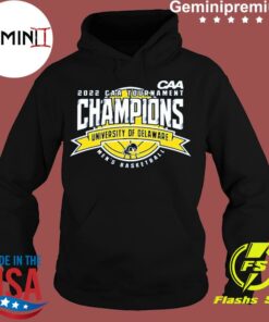 university of delaware champion hoodie